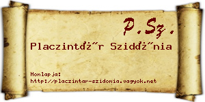 Placzintár Szidónia névjegykártya
